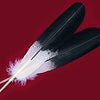Matched Pair Hand Painted Bald Eagle Wing Feathers