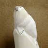 Alaskan Carved Ivory Walrus Figurine