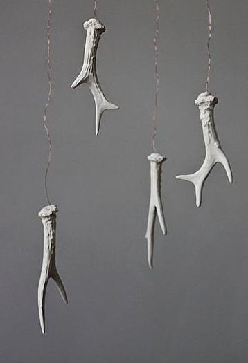 2 Point Shed Deer Antler