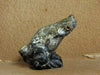 Zuni Carved Frog Fetish by Ron Laahty