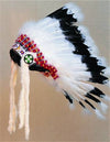 Traditional Ready-Made Headdress Warbonnet