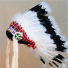 Traditional Ready-Made Headdress Warbonnet