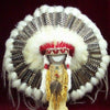 Native American Style Made Barred Turkey Warbonnet