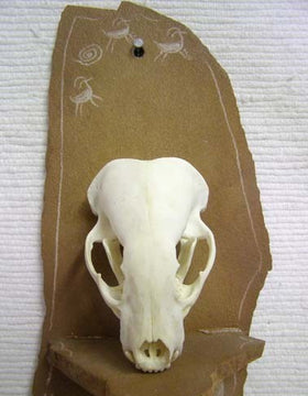 Decorative Animal Skull - Otter