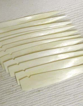 Bone Spear Tips in Packs of 12