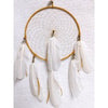 12" Navajo Made Dreamcatchers in Gold