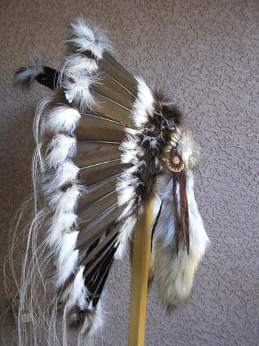 Native American Brown Prairie Warbonnet